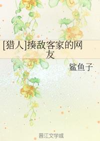 [猎人]揍敌客家的网友